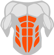 Abs muscle illustration