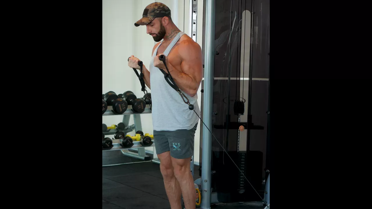 Cable Biceps Curl exercise