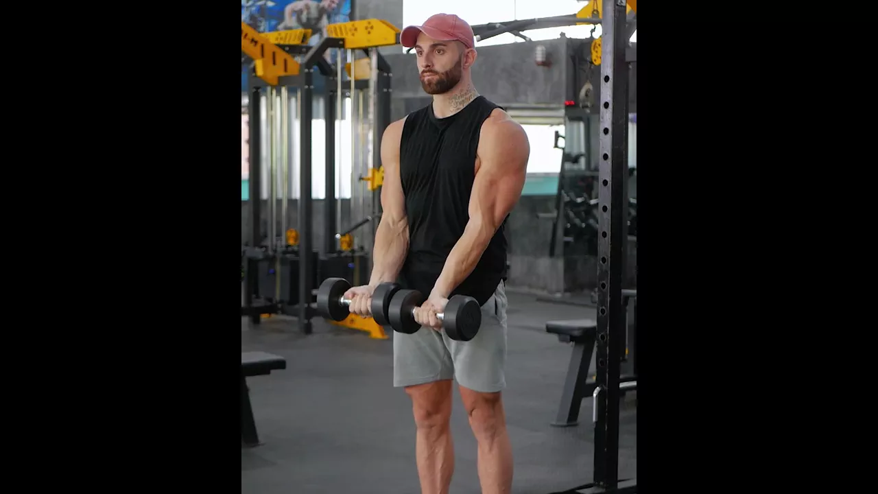 Dumbbell Biceps Curls exercise