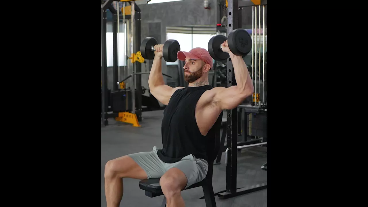 Dumbbell Shoulder Press Seated exercise