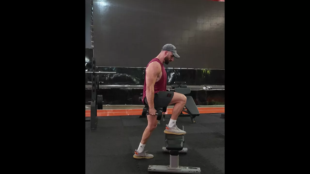 Dumbbell Step Up exercise
