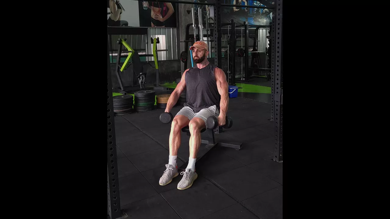 Seated Dumbbell Front Raise exercise